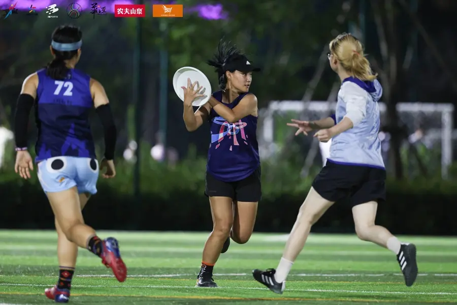 西岸风之谷, 都汇成这个, img