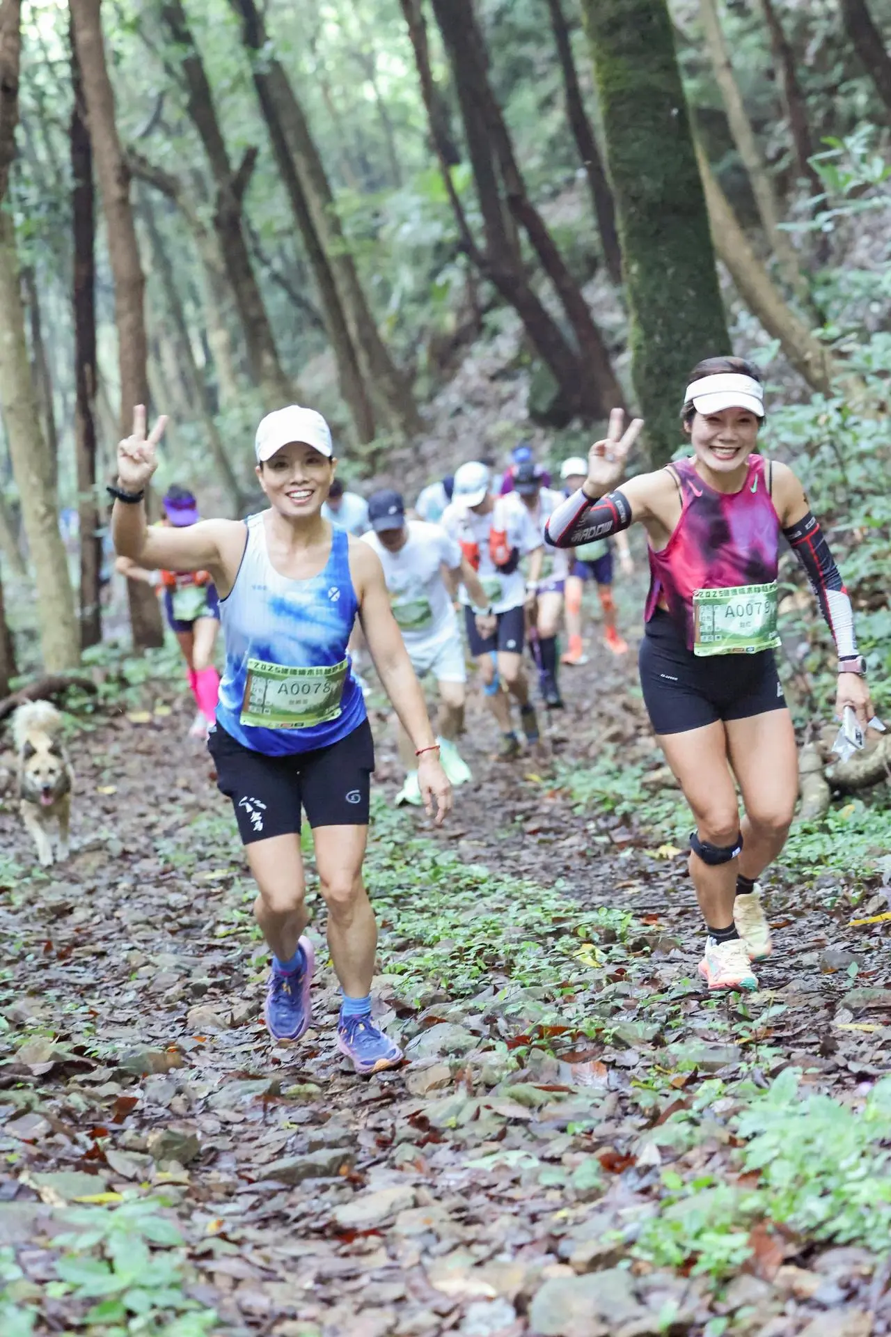 构建起一个, src 构建起一个, src